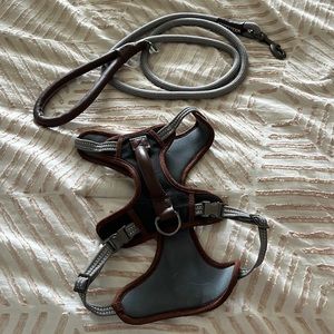 Dog Harness & Leash